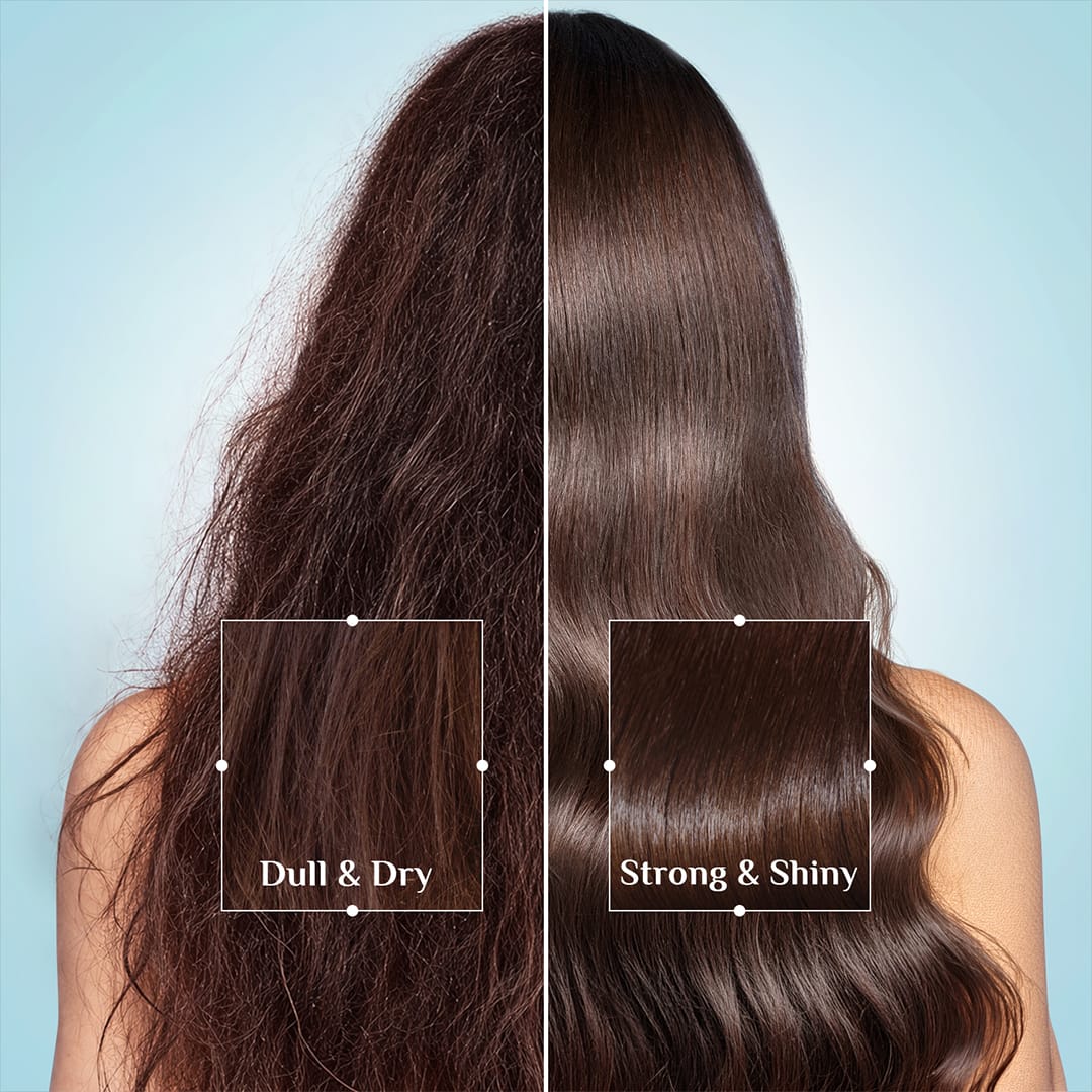 Argan Oil Hair Conditioner - Image 6