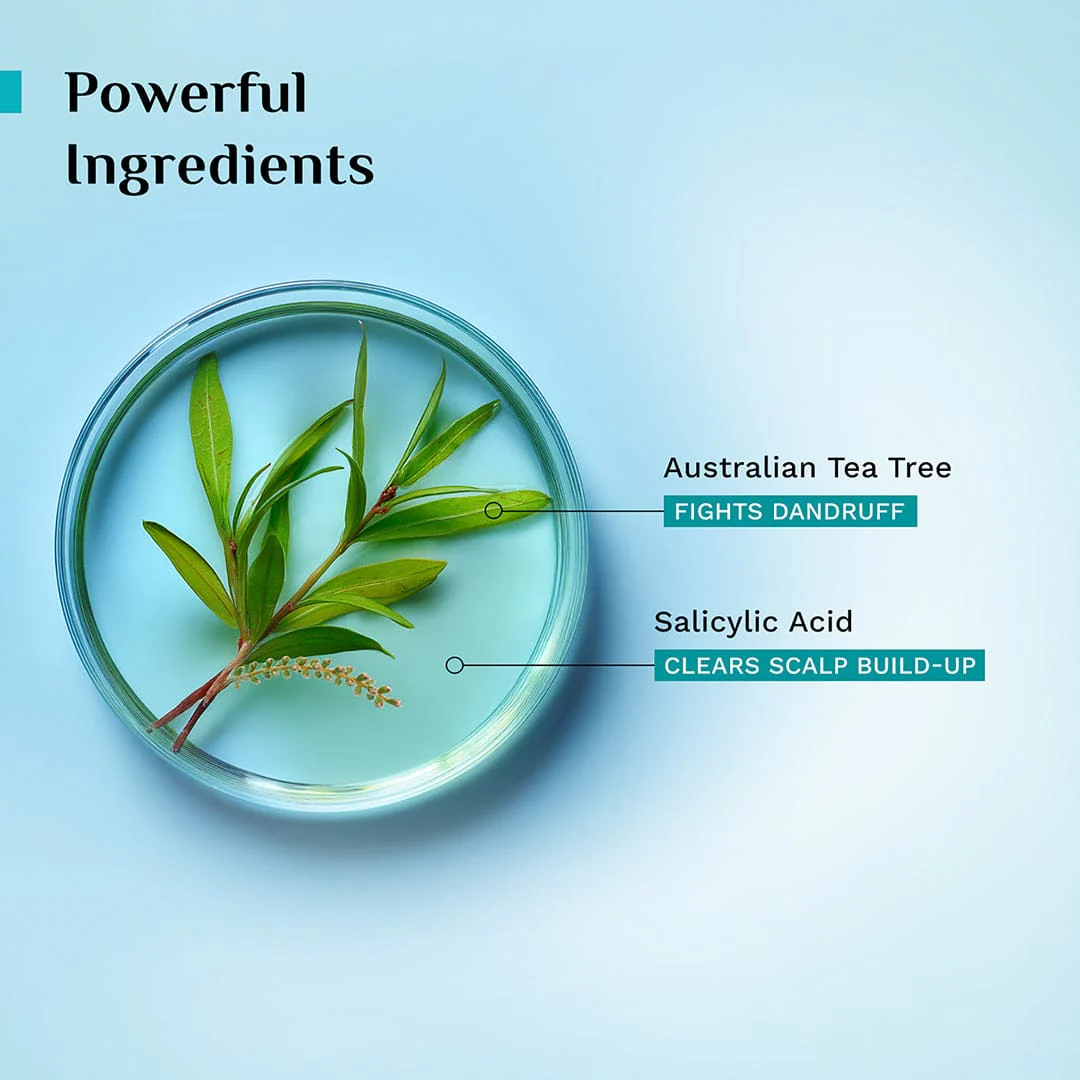 Australian Tea Tree Anti-Dandruff Conditioner - Image 4