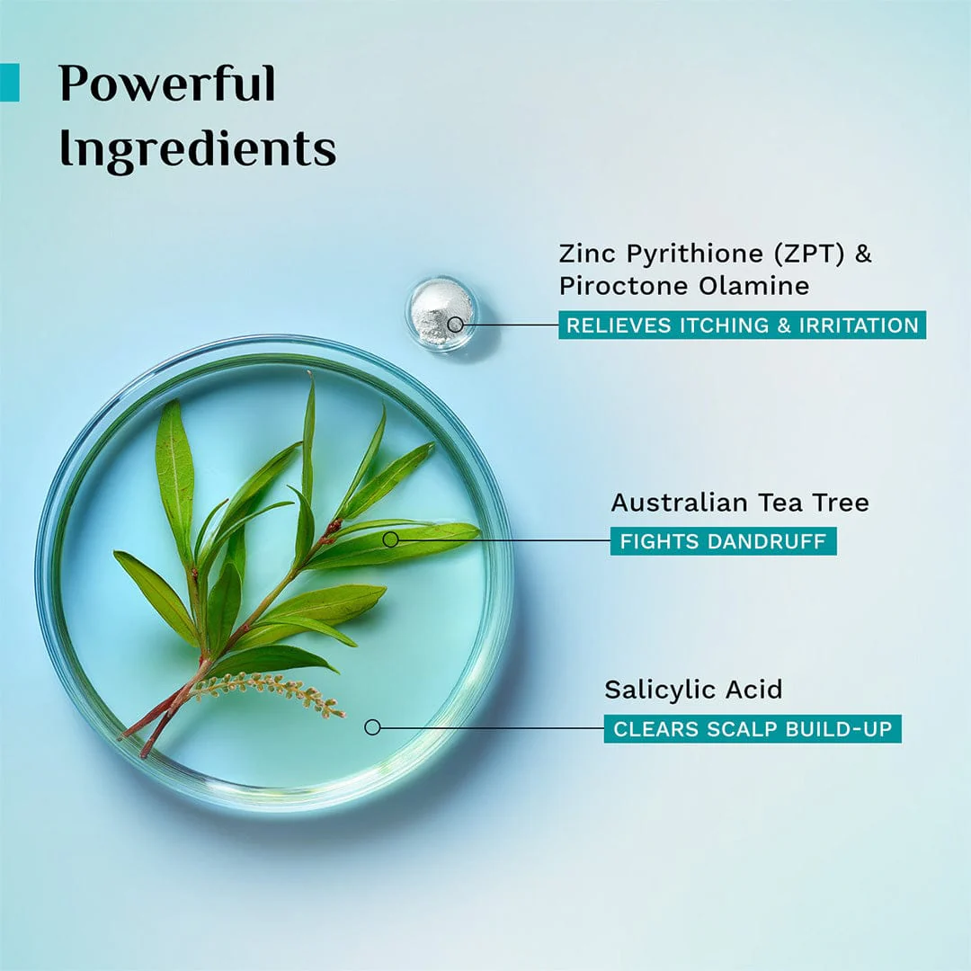 Australian Tea Tree Non-Drying Anti-Dandruff Shampoo & Conditioner Combo - Image 5