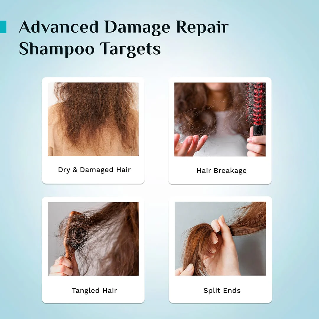 Korean Rice Water & Collagen Advanced Damage Repair Shampoo - Image 15