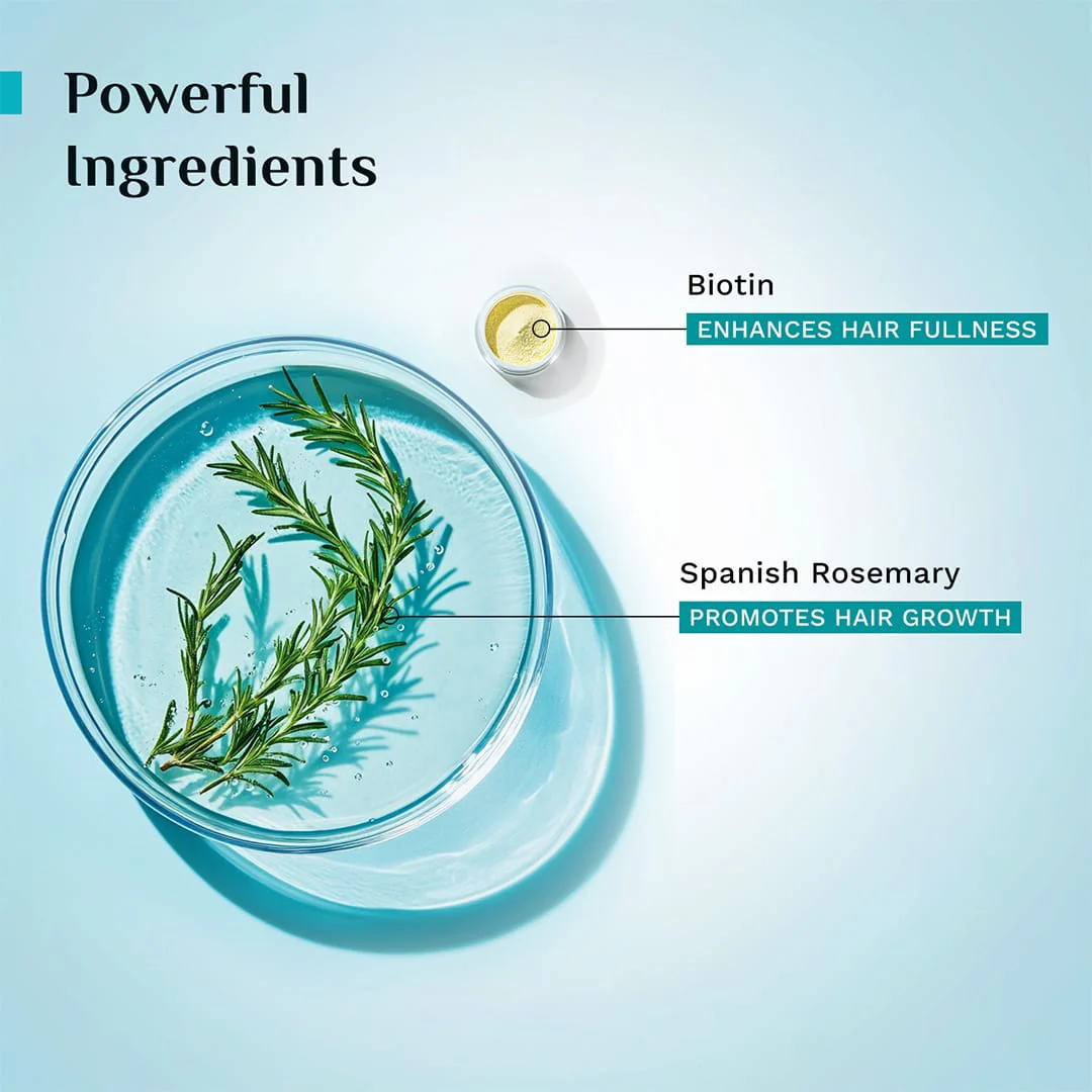 Spanish Rosemary & Biotin Hair Growth Oil - Image 3