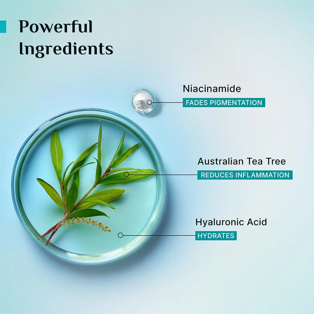 Tea Tree Purifying Toner - Image 3